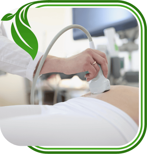 free-ultrasound